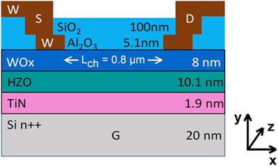 Physical modeling of HZO-based ferroelectric field-effect transistors with a WOx channel
